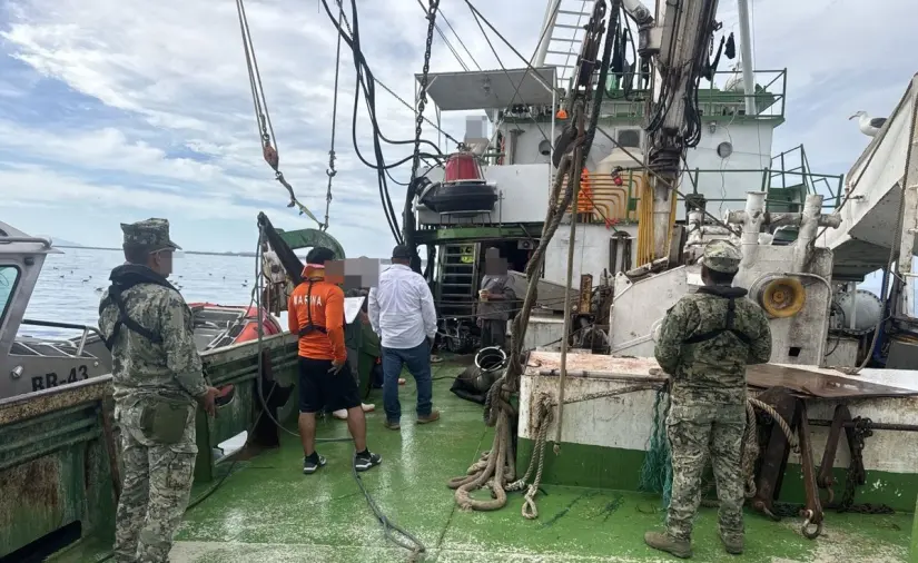 Armada de México asegura 62 tiburones y 4 mantarrayas en Punta Chivato Armada de México asegura 62 tiburones y 4 mantarrayas en Punta Chivato