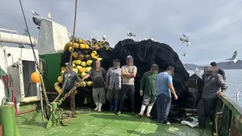 Compromiso ecológico cumplido: Armada de México refuerza la conservación: 62 tiburones y 4 mantarrayas protegidos en Punta Chivato