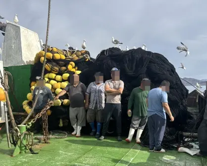 Compromiso ecológico cumplido: Armada de México refuerza la conservación: 62 tiburones y 4 mantarrayas protegidos en Punta Chivato