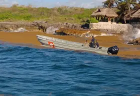 Golpe al narco: Marina asegura 45 paquetes de presunta cocaína en costas de Playa del Carmen