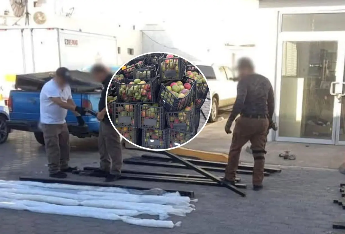 Decomisan de metanfetamina entre cajas de mango en Mexicali. Foto:  Cortesía