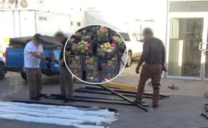 Decomisan 340 kilos de metanfetamina entre cajas de mango en Mexicali