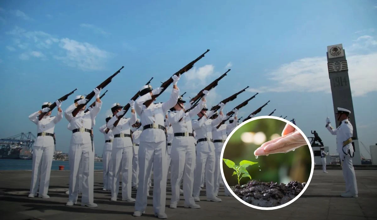 Efemérides conmemorativas del mes de junio Foto: Lider empresarial / Pixabay