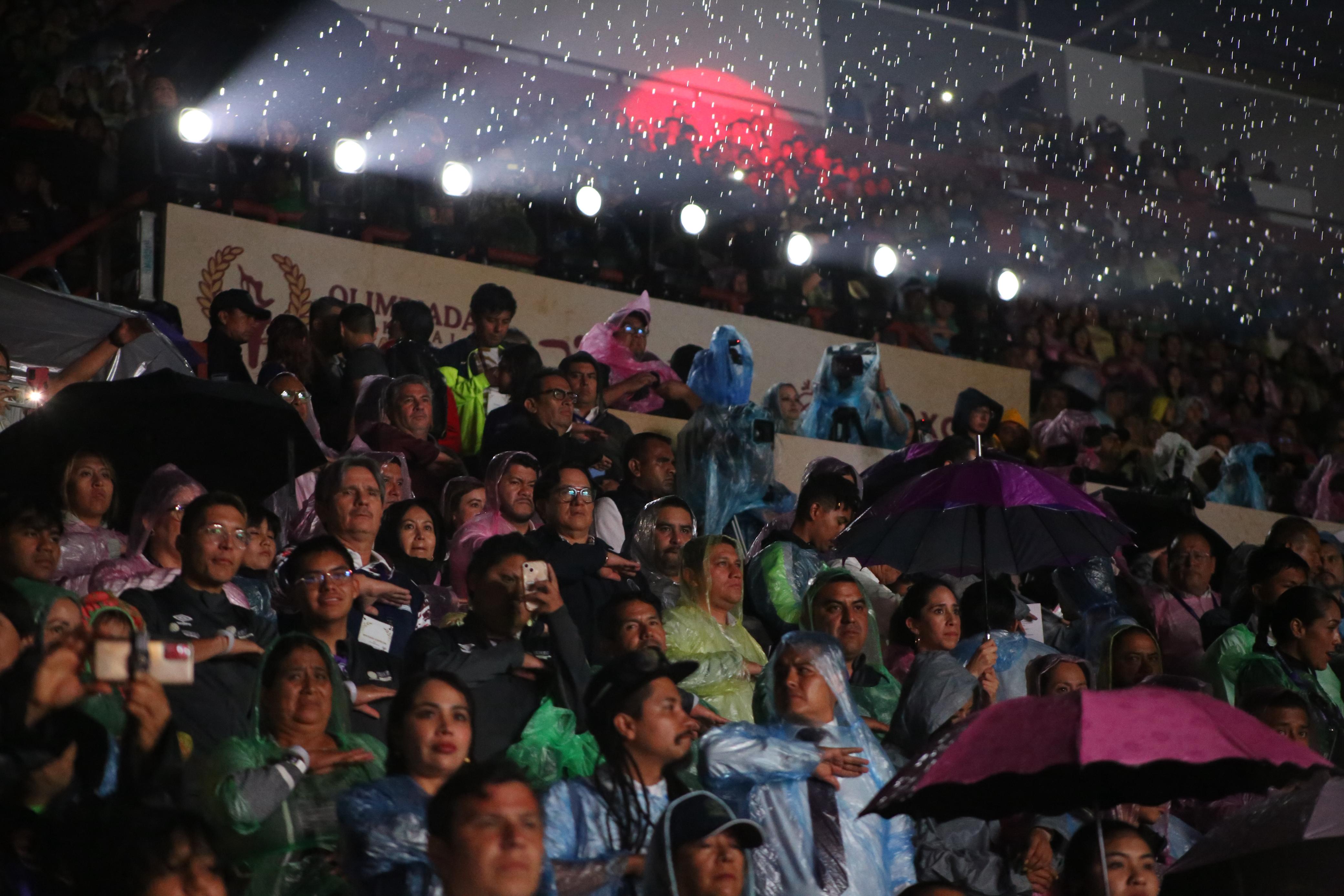 Imagen 14