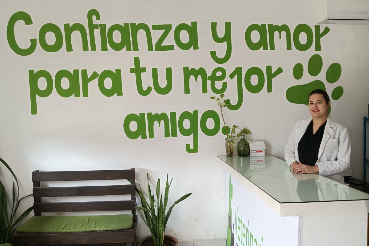 Imagen 5