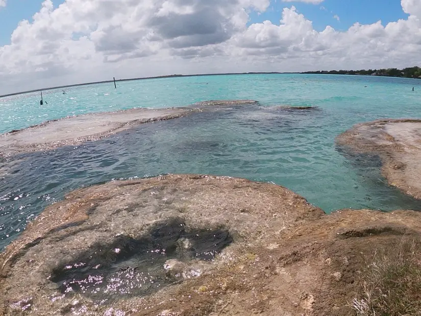 imagen recuadro Cocalitos un cenote de aguas cristalinas Foto: Tripavisor