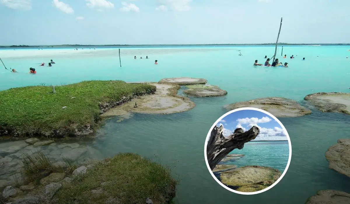 El santurio de los estromatolitos se encuentra en Cocalitos una maravilla de Quintana Roo Foto: Tripavisor