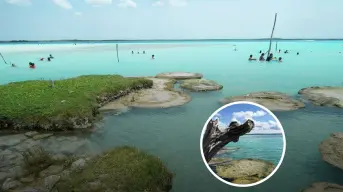 Guía esencial de Cocalitos: la joya natural de Quintana Roo con 90 m de profundidad