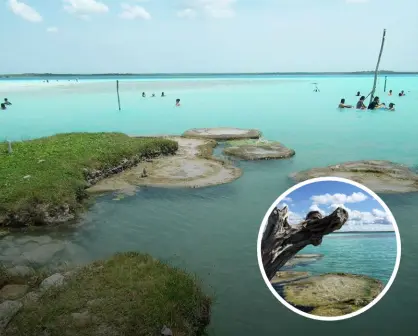 Guía esencial de Cocalitos: la joya natural de Quintana Roo con 90 m de profundidad