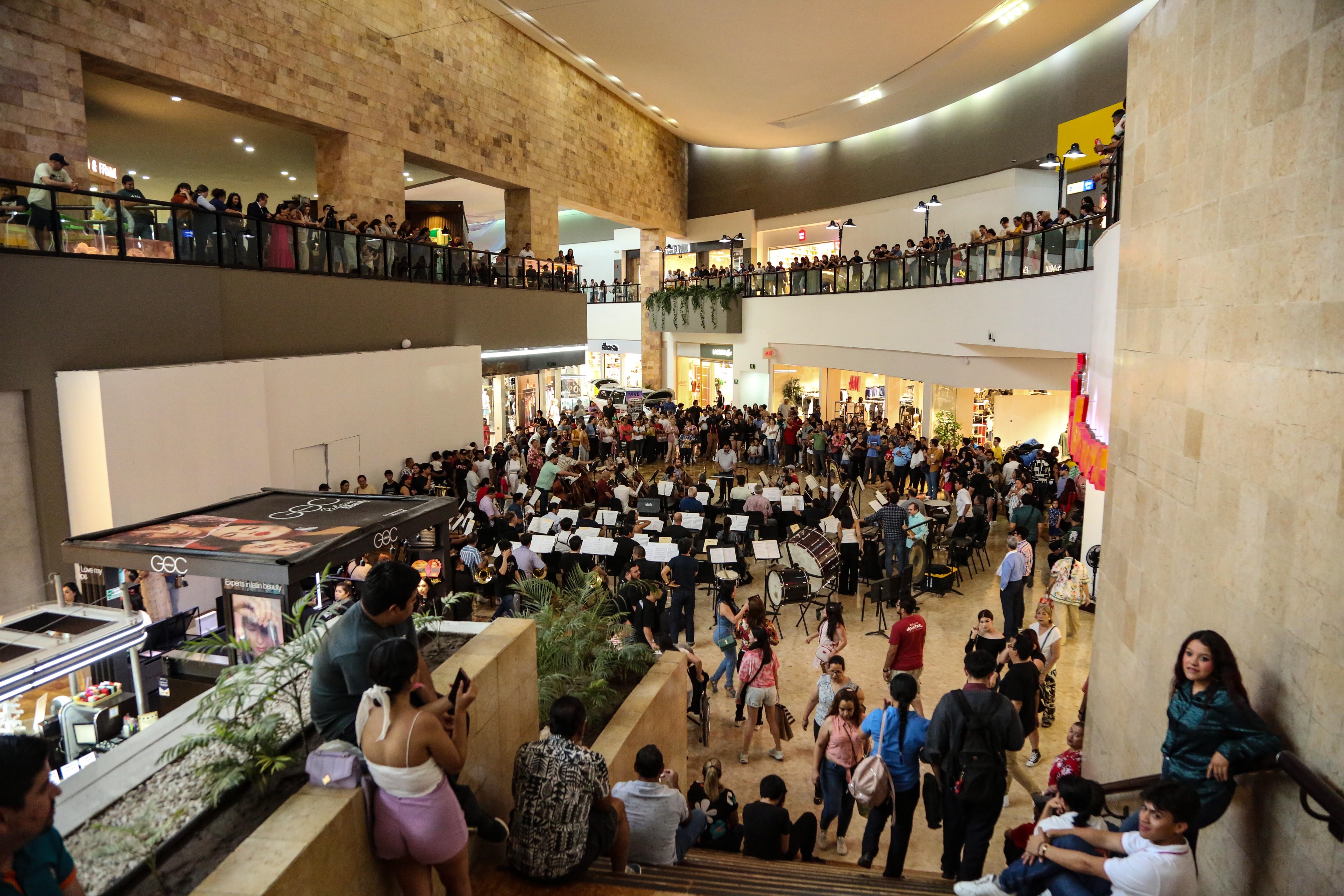 Imagen 5