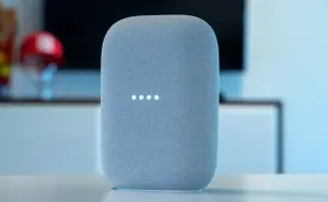 Google Nest se actualiza: ¿Qué significan las nuevas luces del altavoz?