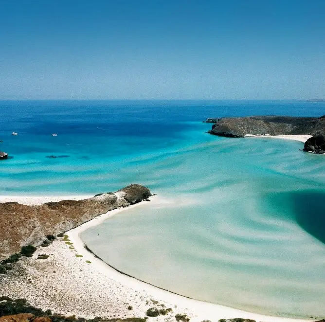 Disfruta de la playa Balandra en La Paz, Baja California Sur. Foto: cortesía.