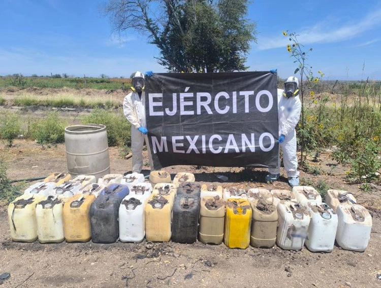 Operativos en Sinaloa: Golpes estratégicos al crimen con incautaciones récord y destrucción de narcocultivos