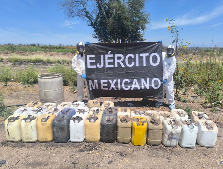 Operativos en Sinaloa: Golpes estratégicos al crimen con incautaciones récord y destrucción de narcocultivos