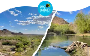 Corredor Verde Río Sonora: un proyecto para transformar Hermosillo