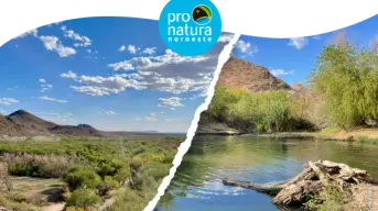 Corredor Verde Río Sonora: un proyecto para transformar Hermosillo