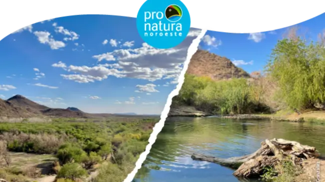 Corredor Verde Río Sonora. Un proyecto sustentable para transformar Hermosillo