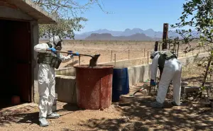 Operativos en Sinaloa: Golpes estratégicos al crimen con incautaciones récord y destrucción de narcocultivos