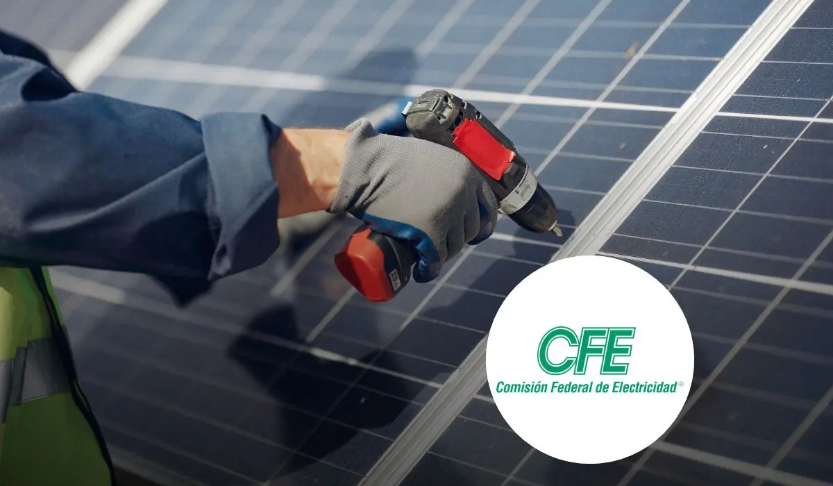 De esta manera podrás tener paneles solares en tu hogar con la CFE. Foto: Freepik.