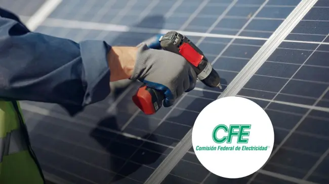 De esta manera podrás tener paneles solares en tu hogar con la CFE. Foto: Freepik.