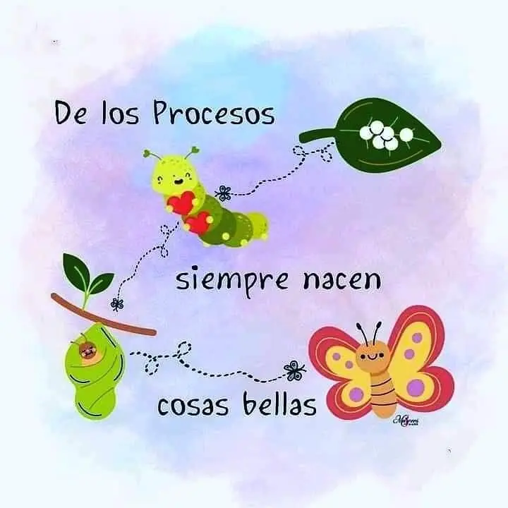 imagen recuadro Frases para felicitar a mis hijos en el Día del Estudiante
