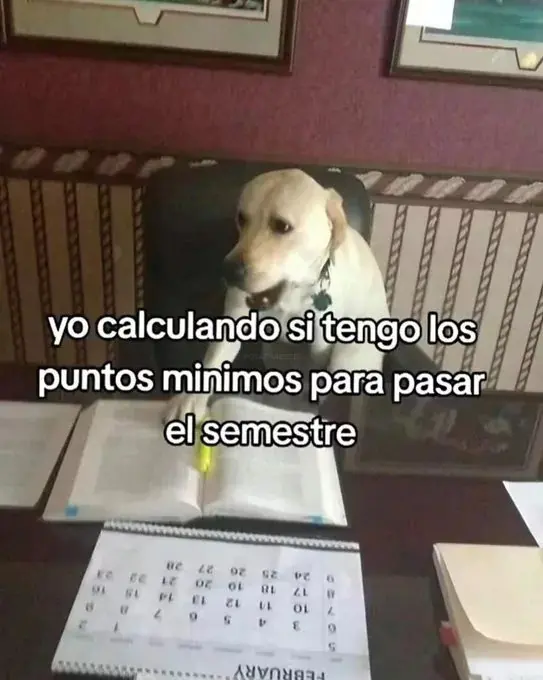 imagen recuadro Andado que hay que echarle ganas