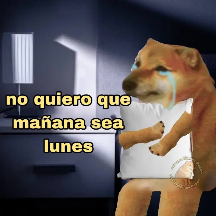 imagen recuadro Cuando uno no quería que el domingo se termine