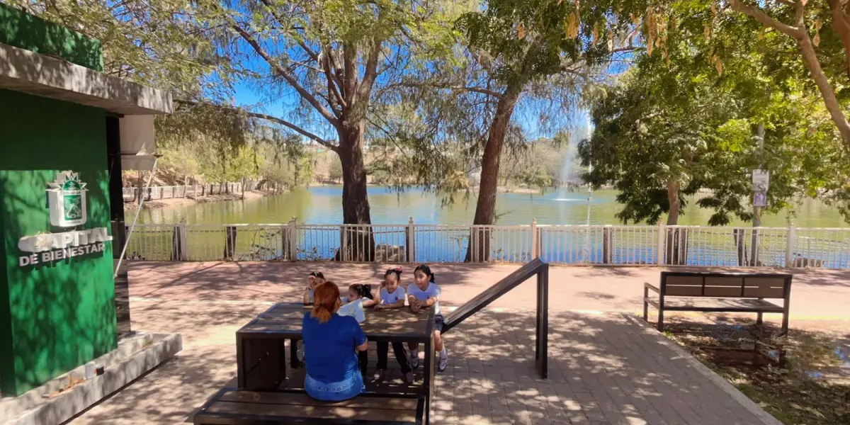 La Biblioteca Urbana del Parque Culiacán 87 es un rincón de lectura y encuentro donde personas de todas las edades disfrutan de los libros en un ambiente seguro y acogedor.