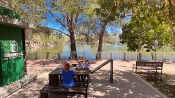 Biblioteca Urbana del Parque Culiacán 87, un espacio para leer, imaginar y viajar a nuevos mundos