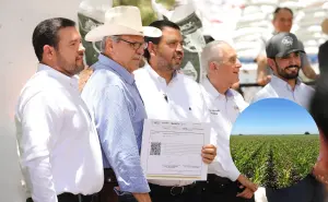 Inicia entrega de Fertilizantes para el Bienestar 2025 en Sinaloa; beneficiará a 53 mil productores