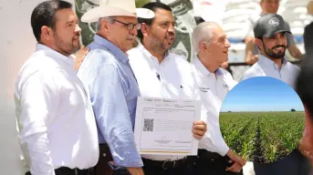 Inicia entrega de Fertilizantes para el Bienestar 2025 en Sinaloa; beneficiará a 53 mil productores