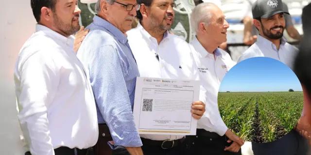 Inicia entrega de Fertilizantes para el Bienestar 2025 en Sinaloa; beneficiará a 53 mil productores