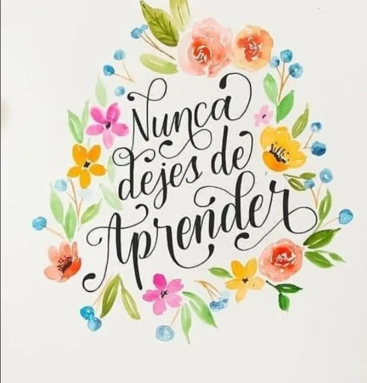 imagen recuadro Frases para felicitar a los estudiantes de preparatoria en el Día del Estudiante