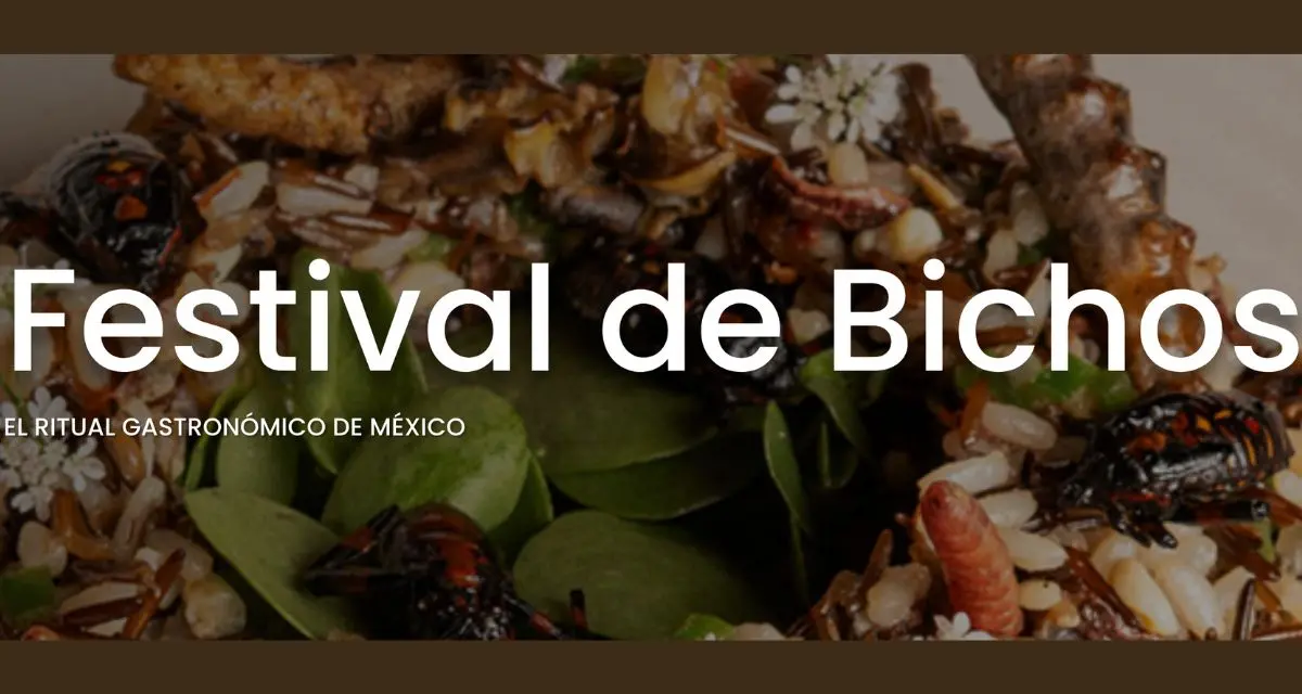 Conoce el menú del restaurante Los Danzantes en Coyoacán en CDMX por el Festival de los Bichos. Foto: losdanzantescoyoacan.com