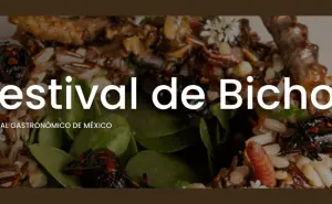 No te pierdas el Festival de Bichos en Coyoacán, el cual honra la gastronomía de nuestros ancestros