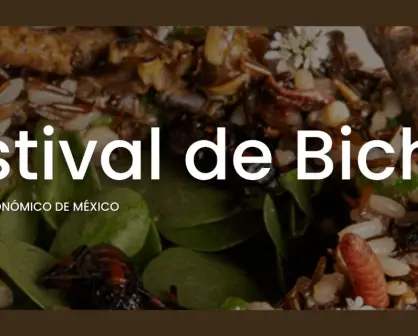 No te pierdas el Festival de Bichos en Coyoacán, el cual honra la gastronomía de nuestros ancestros