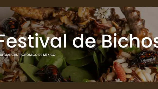 Conoce el menú del restaurante Los Danzantes en Coyoacán en CDMX por el Festival de los Bichos. Foto: losdanzantescoyoacan.com