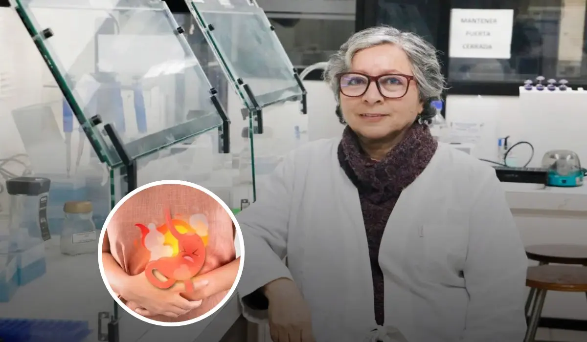 Creación de un probiótico que elimina la gastritis