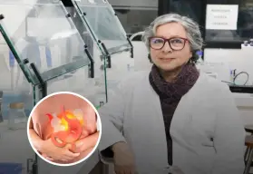 Científica chilena crea una alternativa natural para eliminar la bacteria causante de la gastritis.