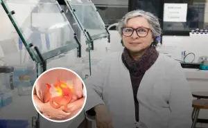 Científica chilena crea una alternativa natural para eliminar la bacteria causante de la gastritis.