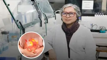 Científica chilena crea una alternativa natural para eliminar la bacteria causante de la gastritis.