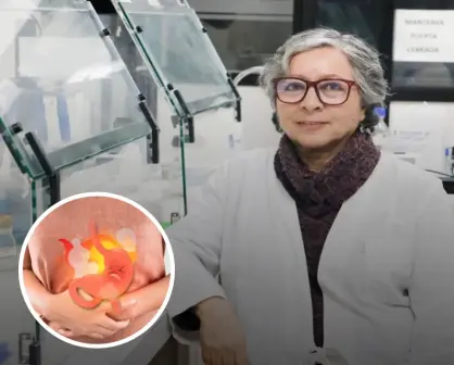 Científica chilena crea una alternativa natural para eliminar la bacteria causante de la gastritis.