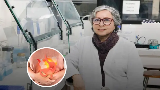 Creación de un probiótico que elimina la gastritis