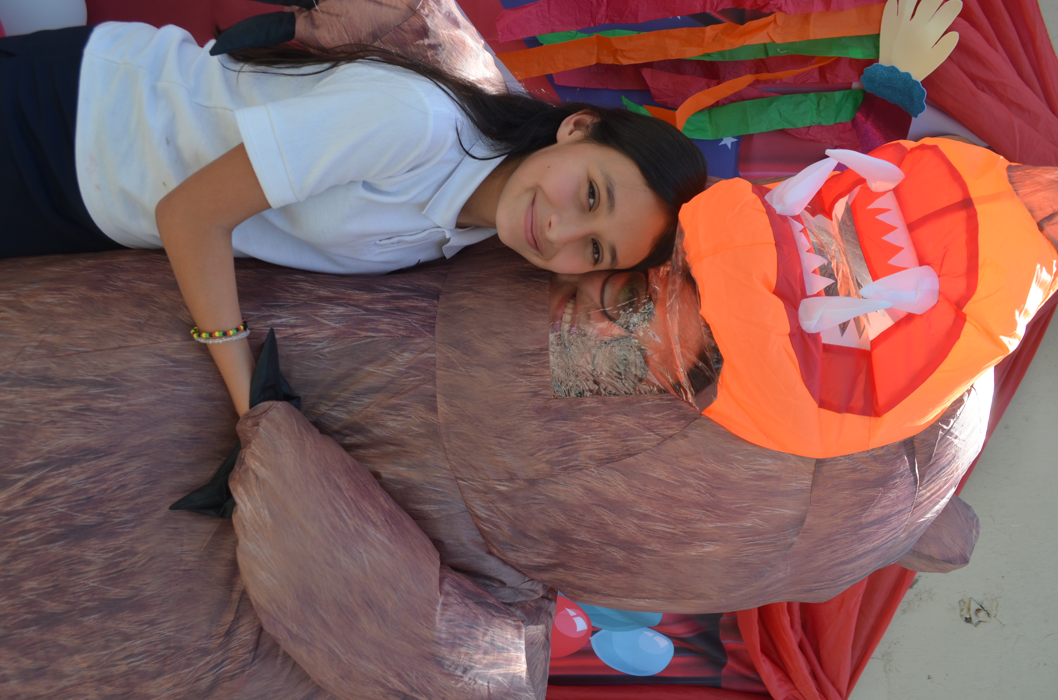 Imagen 30