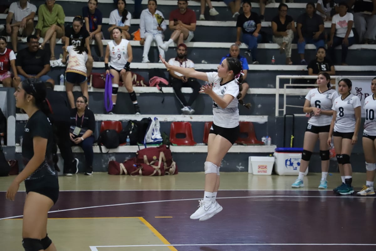 Imagen 7