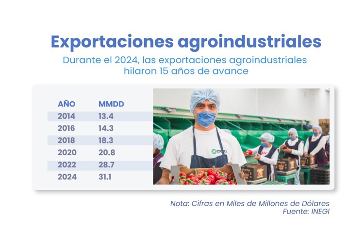 México consolida 15 años de crecimiento en exportaciones agroindustriales: ¡El campo no se detiene!