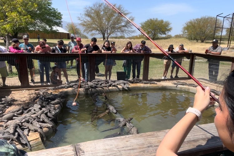 Una aventura salvaje: Descubre Bioparque Estrella Monterrey