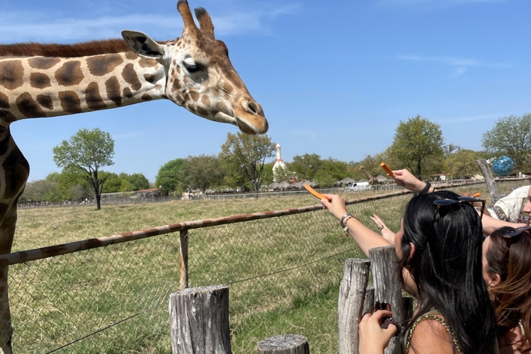 Una aventura salvaje: Descubre Bioparque Estrella Monterrey