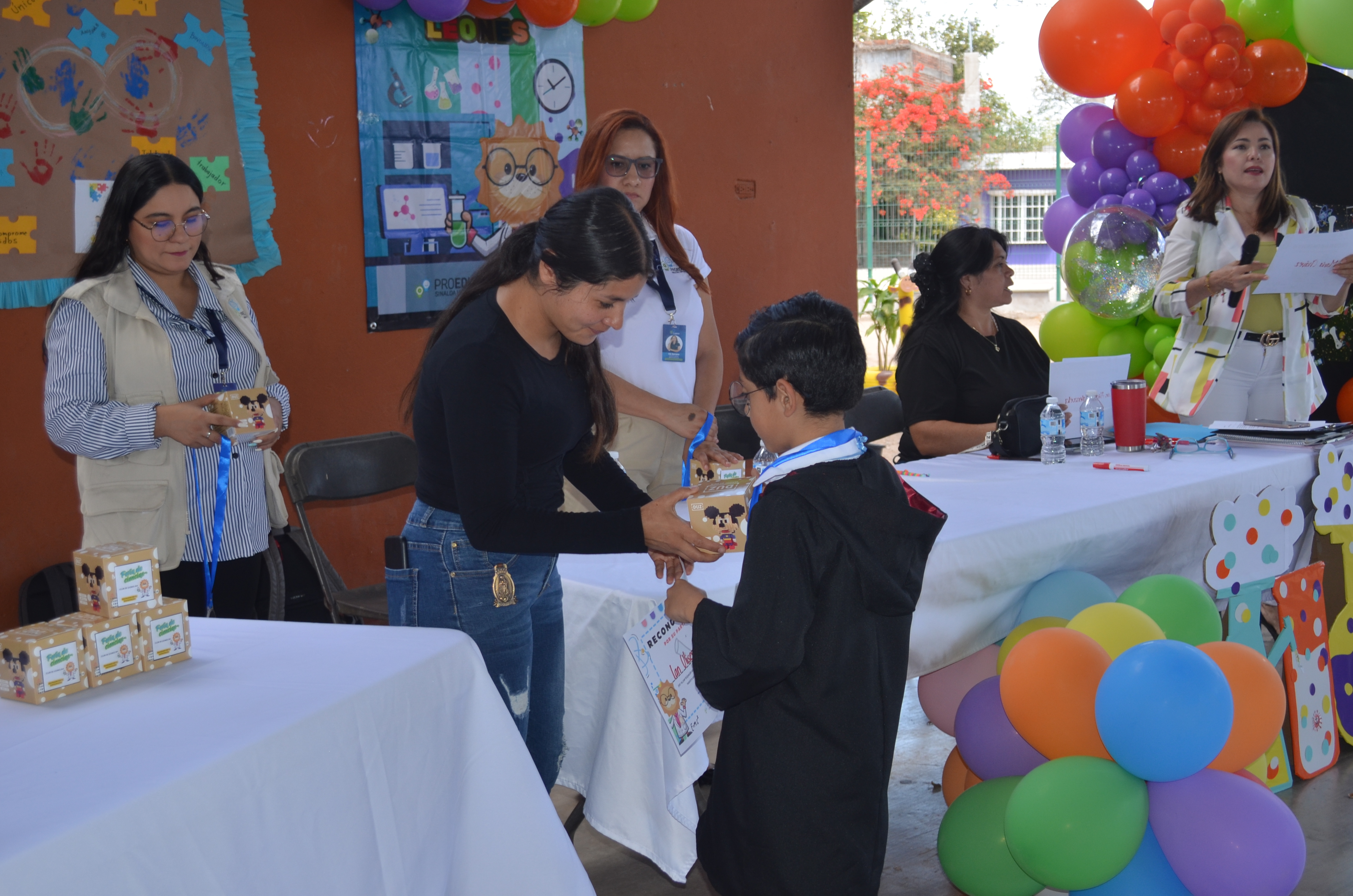 Imagen 6