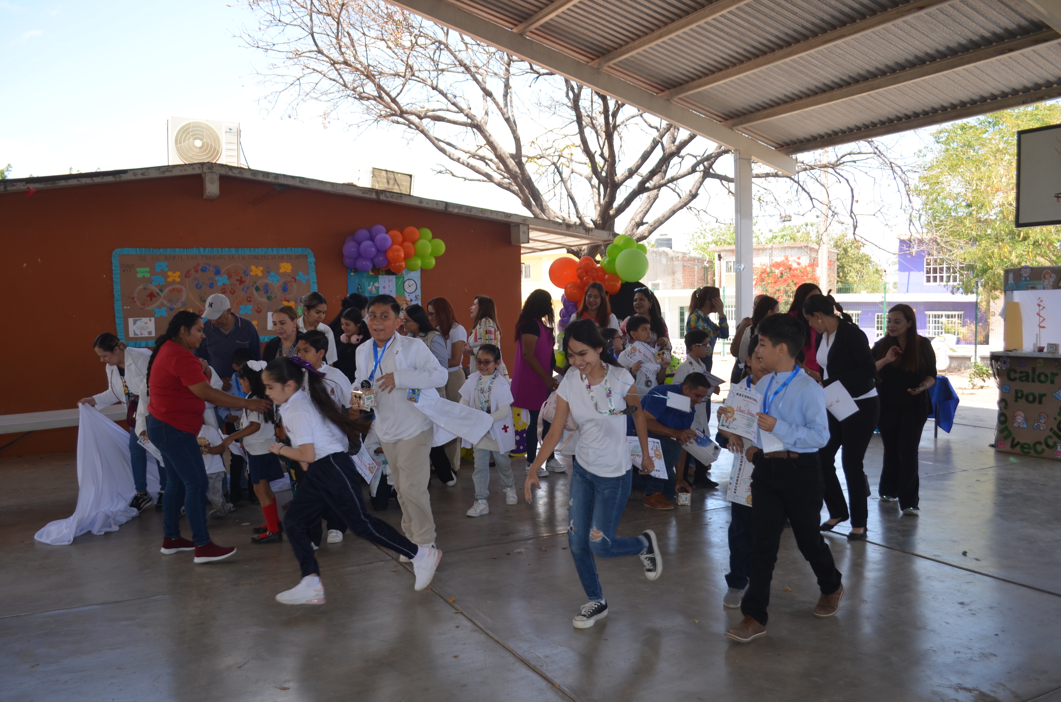 Imagen 23